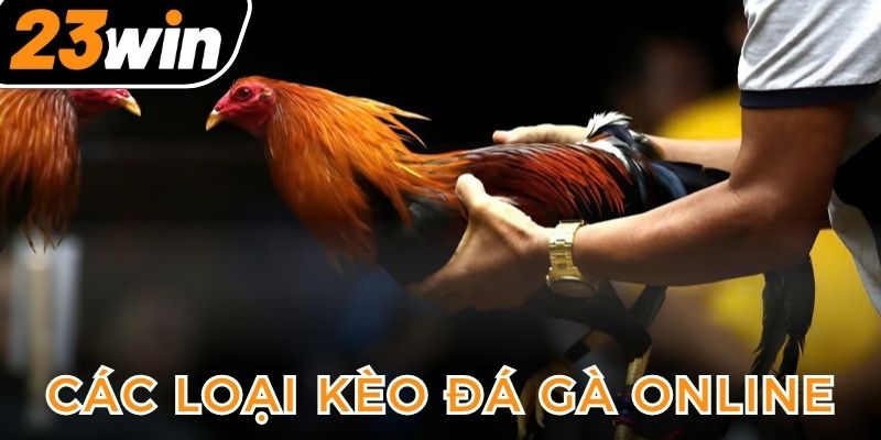 cac-loai-keo-da-ga-noi-bat