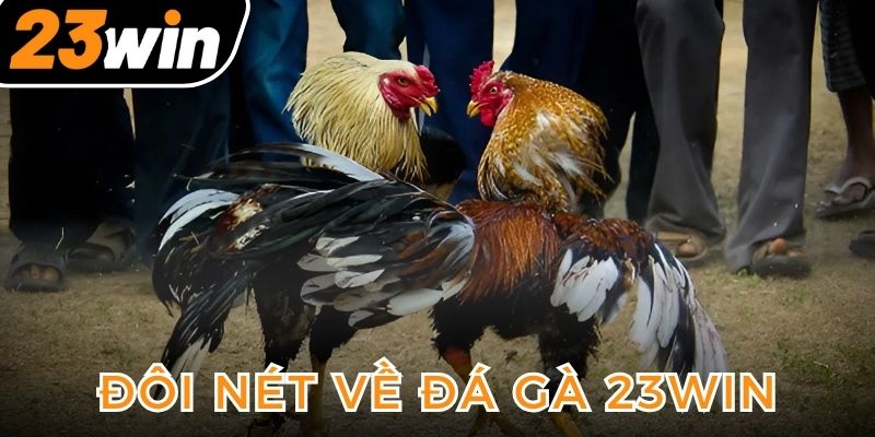 gioi-thieu-so-luoc-ve-da-ga-23win