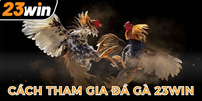 huong-dan-cach-tham-gia-choi-da-ga-tai-trang-chu