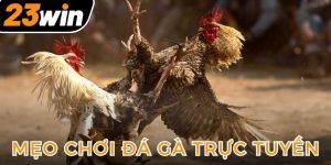 meo-choi-da-ga-truc-tuyen-hinh-dai-dien