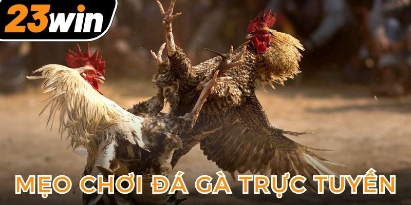 meo-choi-da-ga-truc-tuyen-hinh-dai-dien