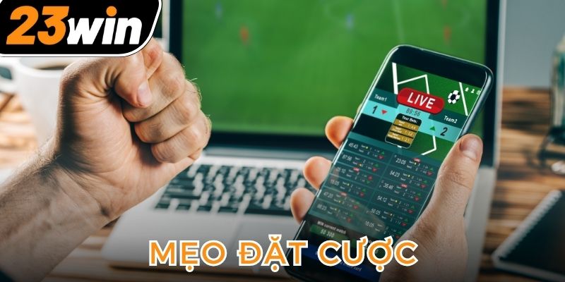 meo-dat-cuoc-de-gianh-chien-thang-khi-du-doan