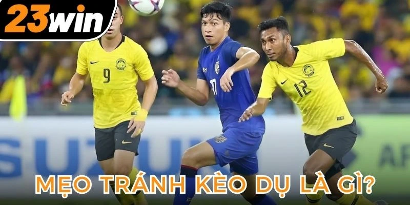 meo-ne-keo-du-la-dieu-ma-thanh-vien-can-biet