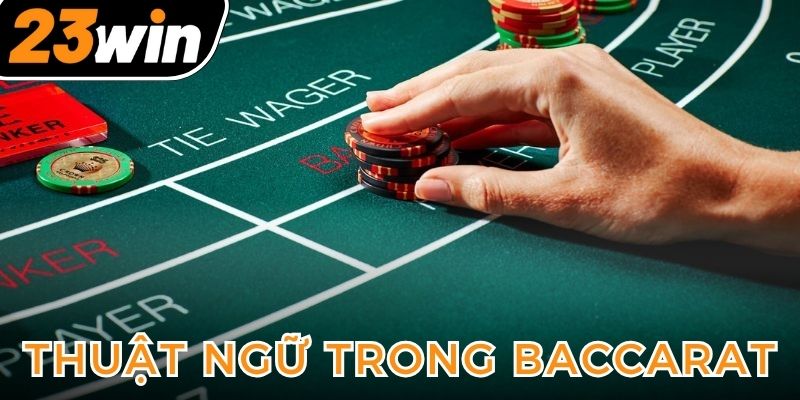 nam-vung-cac-thuat-ngu-trong-game-baccarat-online