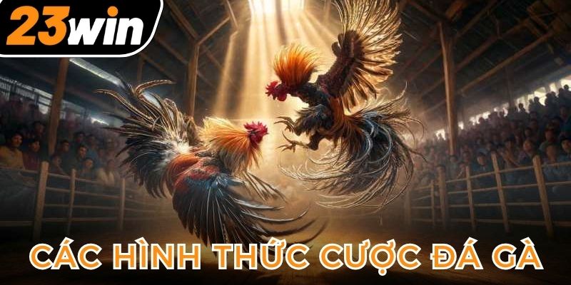 nhung-cua-cuoc-trong-da-ga-truc-tuyen-ma-ban-se-gap