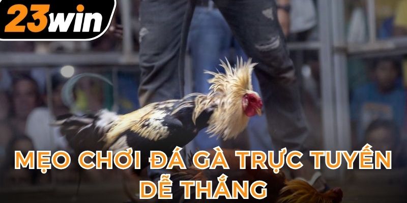 nhung-meo-choi-da-ga-truc-tuyen-giup-ban-nhanh-chong-lam-giau