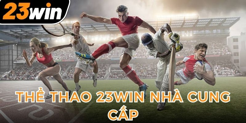 the-thao-23win-nha-cung-cap