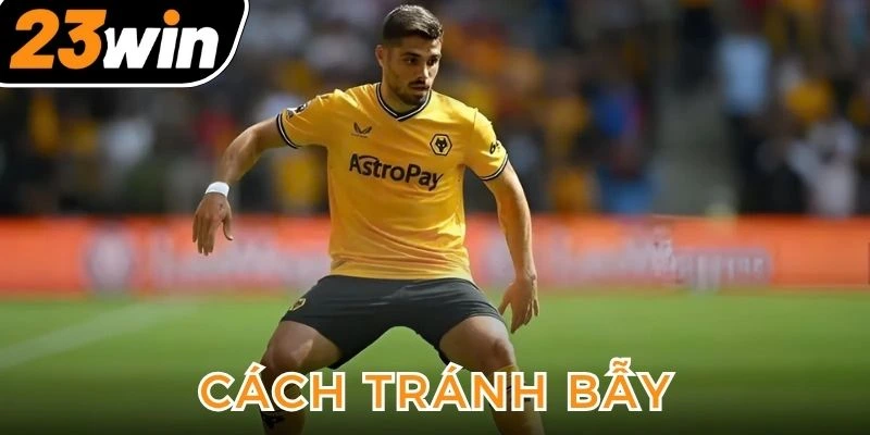 tranh-bay-nha-cai-de-dat-cuoc-hieu-qua