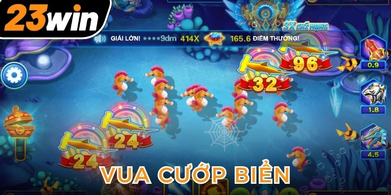 vua-cuop-bien